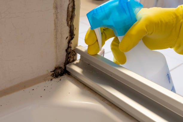 Certified Mold Removal in North Great River, NY